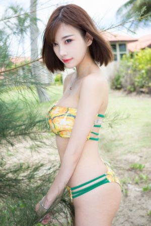 完美世界230集_BD国语手机免费观看完整